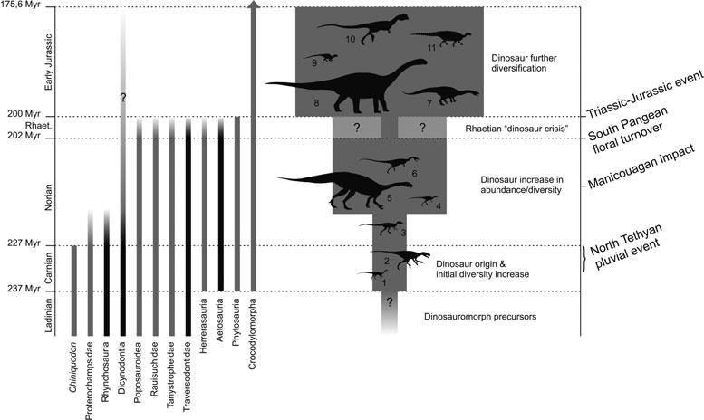 80 Max C. Langer and others Fig. 12. Distribution of medium to large sized terrestrial amniotes along the Late Triassicand EarlyJurassicand the rise of dinosaurs. Timeline from Gallet et al. (2003).