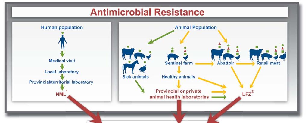 2013 ANNUAL REPORT Antimicrobial