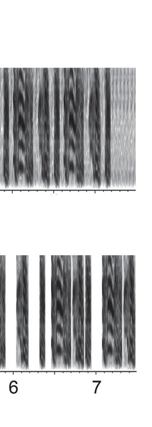 Furthermore, as an animal model, zebra finches provide an opportunity to study the neural basis of rhythm perception in a more direct manner than possible with humans. Figure 2.