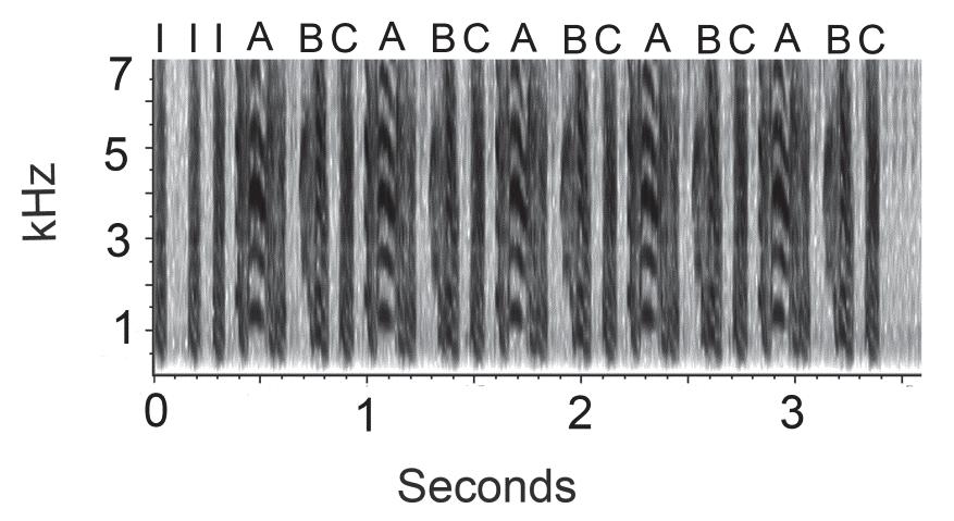 Figure 8. A representative spectrogram of rhythmic song. A natural zebra finch song used to generate one of the stimuli from the present study is depicted. Introductory notes are labeled with I.