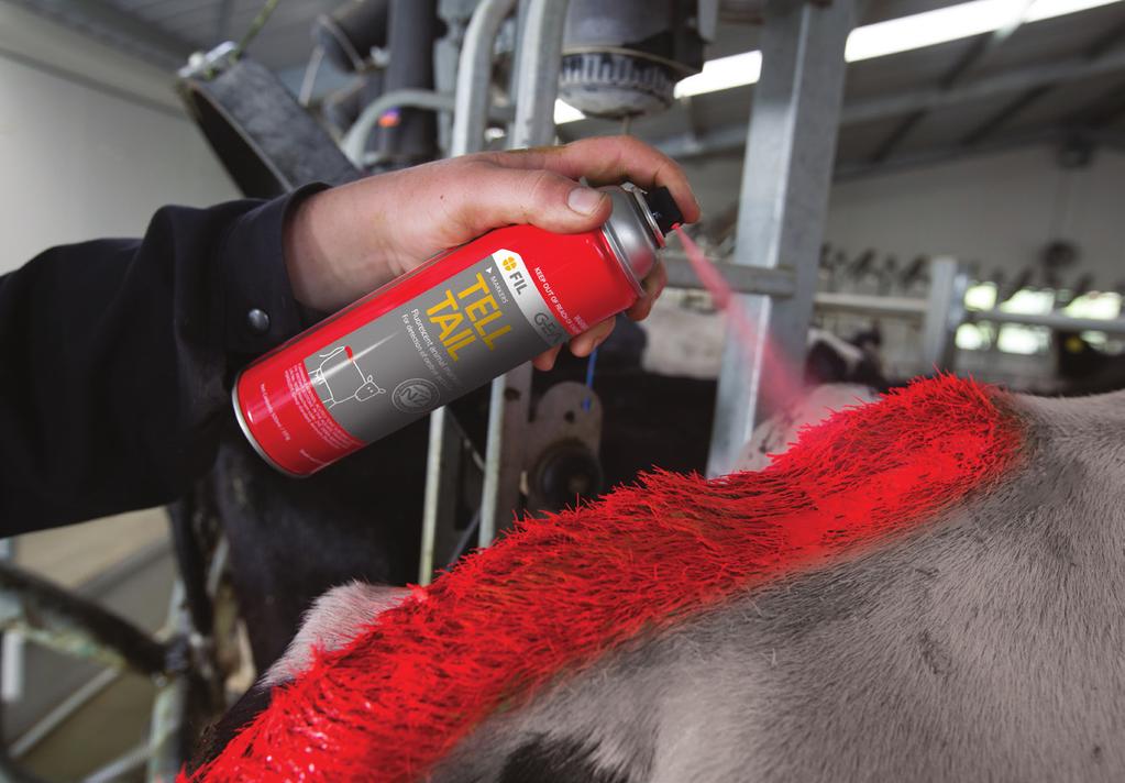 GEA FIL range of tail paints are easy to use, cost-effective and New Zealand made, specifically designed for dairy cow