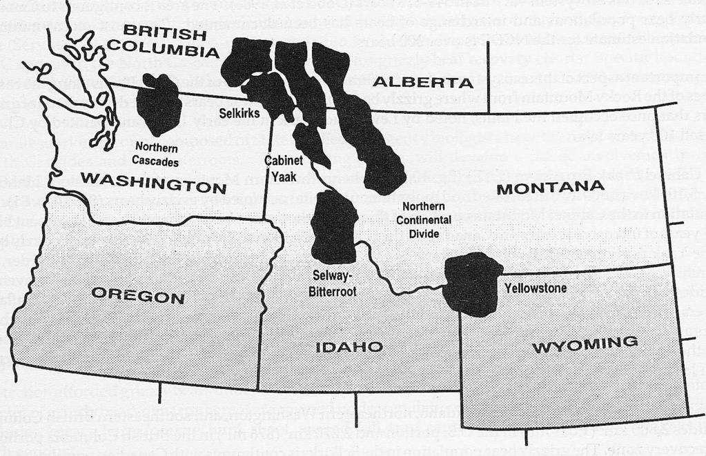 HISTORY AND BACKGROUND History of Grizzly Bears in Montana Before Europeans arrived, grizzly bears occupied a variety of habitats, from the Great Plains to mountainous areas throughout western North
