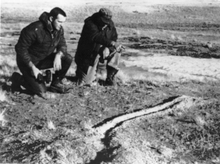 Great Plains Wildl. Damage Control Workshop 9:59-63. Clark, T.W., T.M. Campbell, III, M.H. Schroeder, and L. Richardson. 1984. Handbook of methods for location of black-footed ferrets.