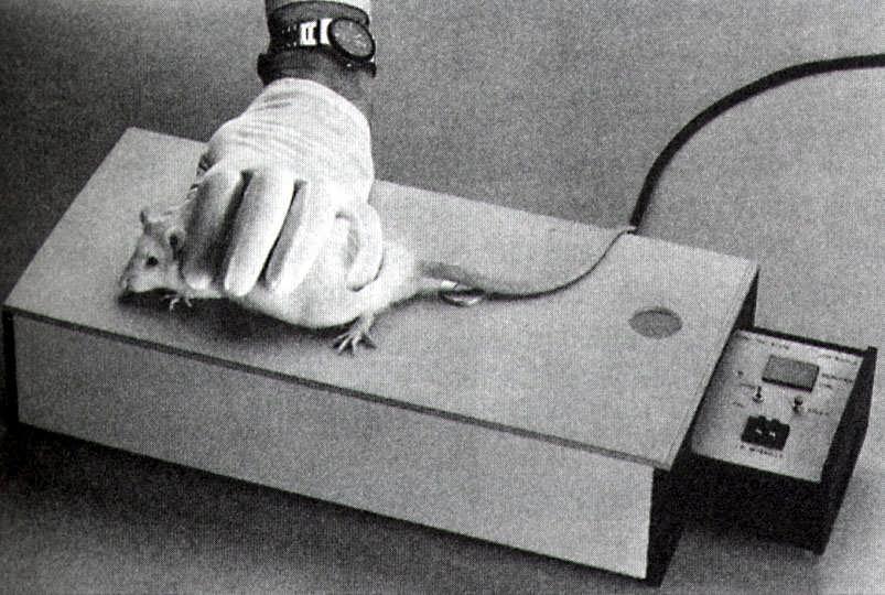 Tail Flick Analgesia Instrument Test for analgesic affects; rodent s tail is placed over window on platform while being restrained.