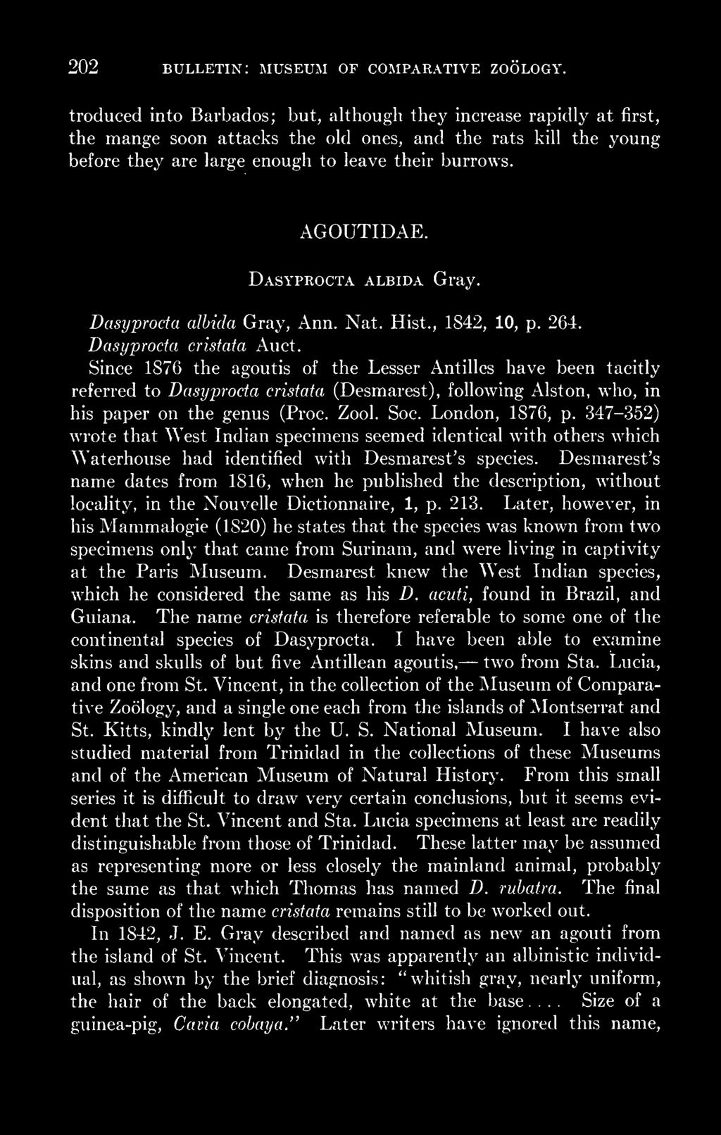 Dasyprocta albida Gray. Dasyprocta albida Gray, Ann. Nat. Hist., 1842, 10, p. 264. Dasyprocta cristata Auct.