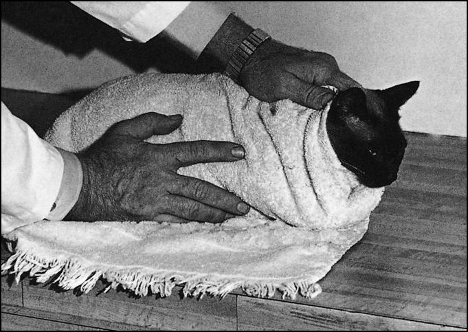 Simply wrapping the cat in a towel is often the easier solution.