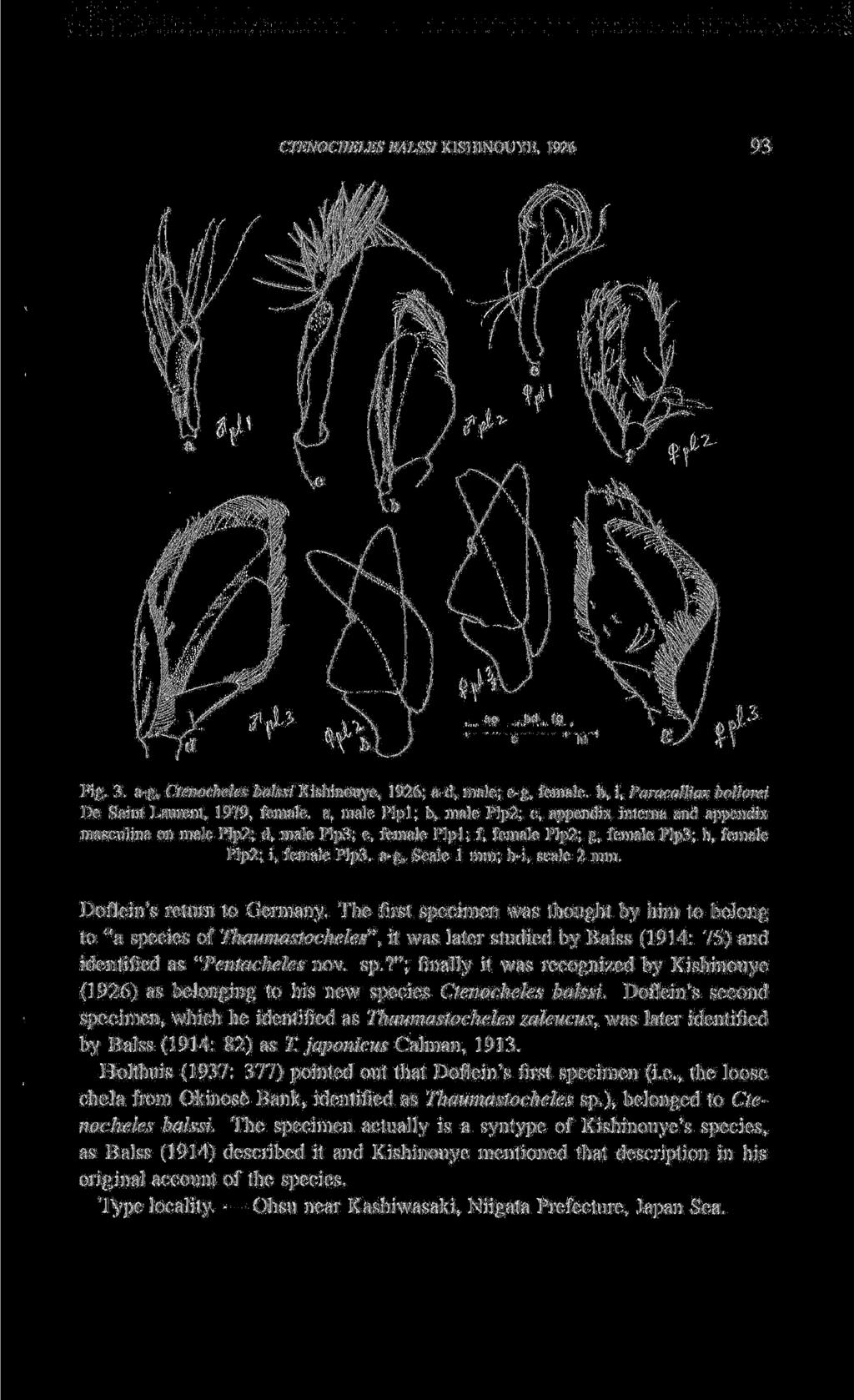 CTENOCHELES BALSSI KISHINOUYE. 1926 93 Fig. 3.