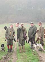 Grey partridges and shooting The grey partridge is no longer the prolific gamebird it once was. In most districts it is now either absent or uncommon.