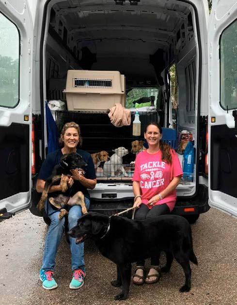 iresq Colorado Mary Tipton Annette Thomas Isbell K-9 Angels Rescue iresq We recently teamed up with iresq in Colorado to help with transporting 18 puppies and 2 adults in search of their FURever