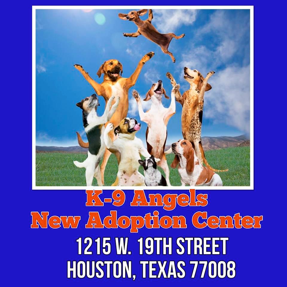 Adoption Center has Relocated! March 2, 2017 WE HAVE A NEW ADOPTION CENTER! We are so happy to report that we have found a new location for our adoption center! 1215 W.