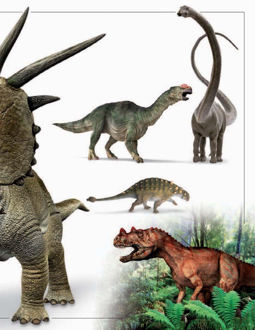 Bony spike jutting from neck frill SAUROPODS Sauropods were gigantic saurischians with long necks and tails. The largest were the most massive animals of any kind that ever walked on Earth.
