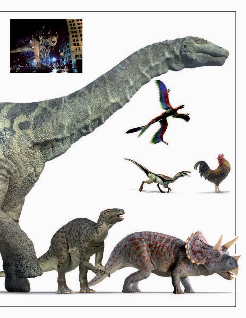 MOVIE MONSTERS The huge size of some dinosaurs has inspired a host of monster movies, in which gigantic creatures, such as Godzilla, rampage through modern cities.