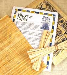 Papyrus Activity Kit Includes: one 8 x