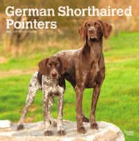 german sh pointers