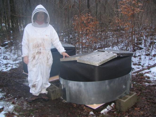 After installing the candy boards over my nucs on December 22, I wrapped the windshields around the hives.