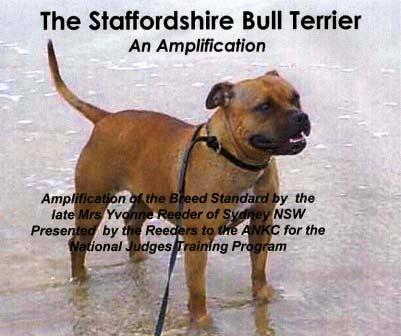 HEAD The Staffordshire Bull Terrier must possess a strong head; correctly balanced, as set down in the Standard. 2.