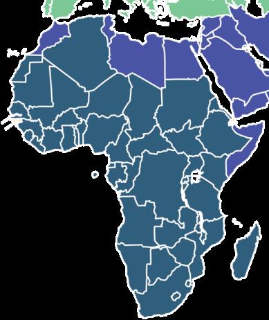 WHO Africa Region 8 out of 47 Member States in the region participated in the survey.