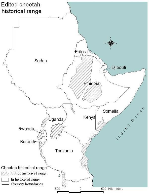 CHAPTER 3 THE DISTRIBUTION AND STATUS OF CHEETAH WITHIN EASTERN AFRICA 3.1 Historical distribution In the past, cheetah were broadly distributed within eastern Africa.