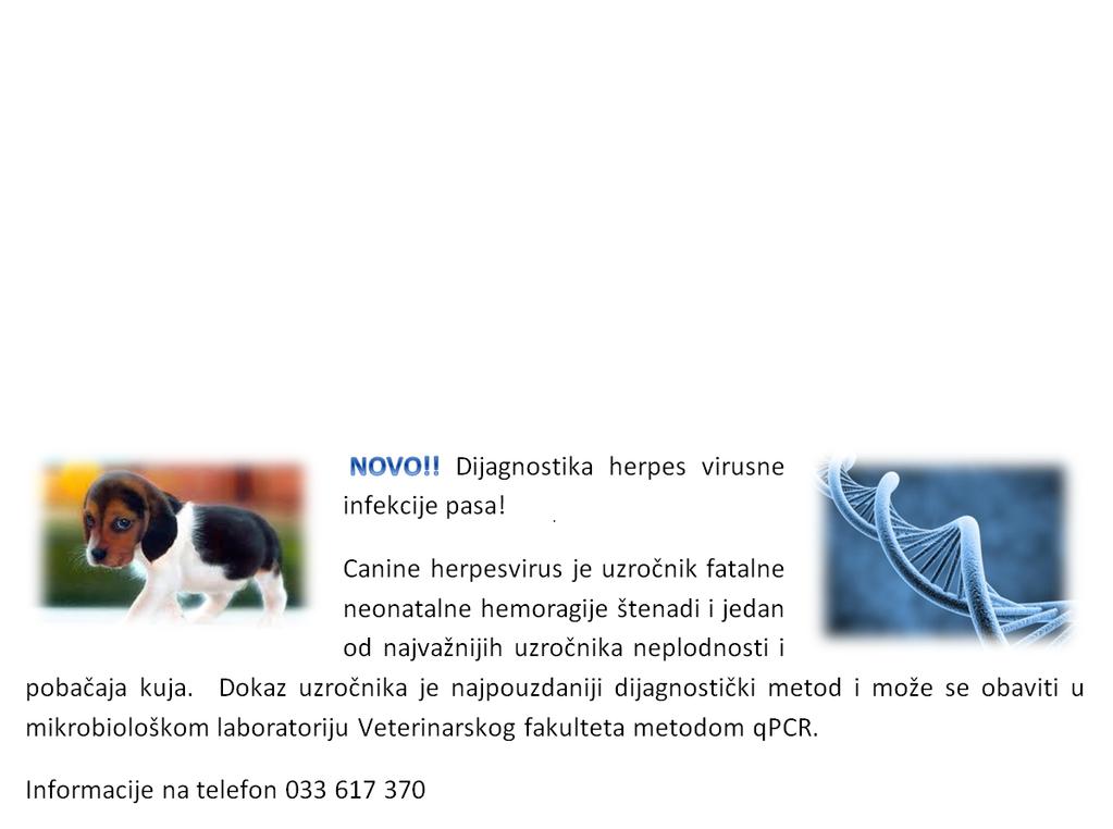 The first case of Mycobacterium terrae infection in cattle in Bosnia and Herzegovina 34/35 173:323-331. 16. Smith D.S., Li