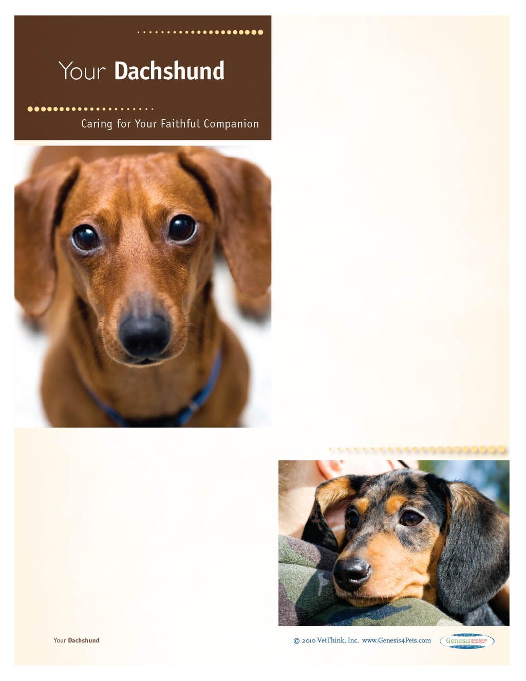 Dachshunds: What a Unique Breed! Your dog is special! She s your best friend and copanion and a source of unconditional love.