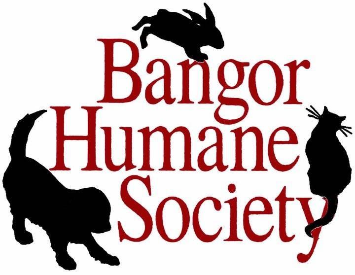 Humanely Speaking Bangor Humane Society Newsletter Winter 2018 Features New Year, Your Impact Your 2017 Happy Tails You Made 2017 a Great Year Help Us Reach Our 2018 Life-Saving Goals Inside: Donor
