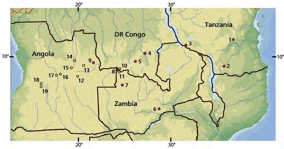 New data of Tetradactylus ellenbergeri and Trachylepis ivensii in northeastern Zambia 37 Fig. 2. Distribution of Tetradactylus ellenbergeri and Trachylepis ivensii. T. ellenbergeri. 1= Tanzania: Gendawaki Valley, Udzungwa Mountains (Menegon et al.