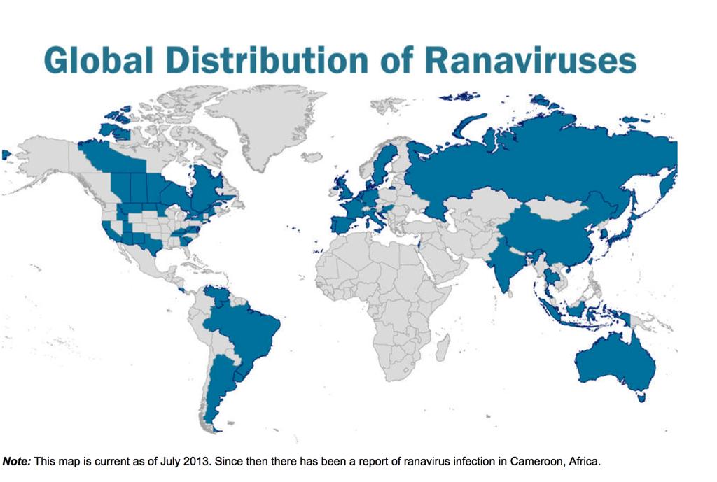 Ranavirus: Chelonian Significance o Emerging