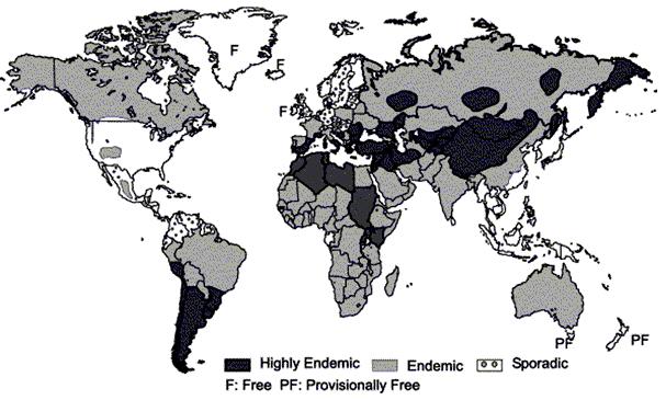 Echinococcus granulosus Geographical Distribution: