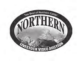 Auction and have a buyer number to bid on the phone or internet. To register with NLVA call 866-616-5035 before sale day. View the online catalog and video of each lot selling at www.