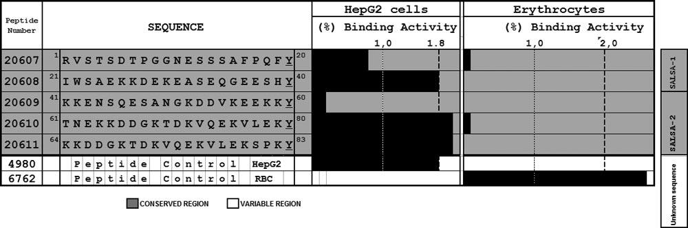 700 GARCIA ET AL. CLIN. MICROBIOL. REV. FIG. 8. Profile of hepatic cell (HepG2) and human RBC binding activity of SALSA protein partial sequence synthetic peptides.