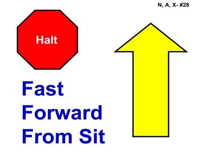 Halt - Fast Forward from Sit - The Handler halts and the dog sits in heel position.