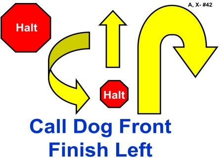 With the dog sitting in heel position, the Handler calls the dog to front and the dog sits in the front position, facing the Handler.