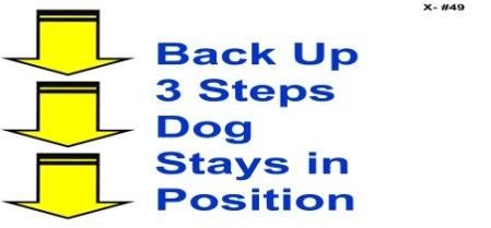 Backup 3 Steps - While heeling, the Handler reverses direction walking backward at least 3step, without first stopping, then continues heeling forward.