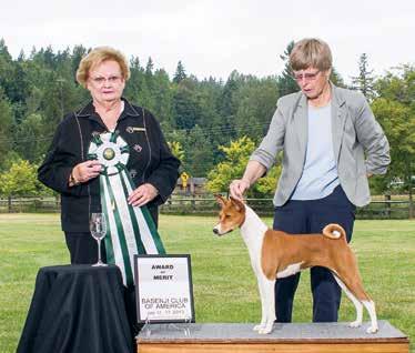 The income from practice was donated to the Basenji National Specialty general fund.