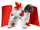 1 st NATIONAL SPECIALTY SHOW Lagotto Romagnolo Club of Canada Sunday, August 28, 2016 There will be a separate catalogue for this Specialty CONFORMATION - Regular & Non-Regular Classes Esther Joseph,