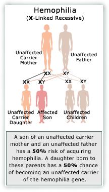 What is a Genetic Disorder? Sometimes our genes have. Mistakes can cause. Disorders can be. Recessive disorders individuals have (aa) Most human disorders are.