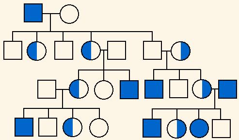 If individual III-1 marries someone heterozygous for Huntington s, then what s the chance of having a child with Huntingtons? 4. The pedigree to the right shows the passing on of colorblindness.