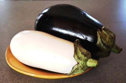 7 In eggplant, the allele P for purple eggplants are dominant over the allele p for white eggplants.