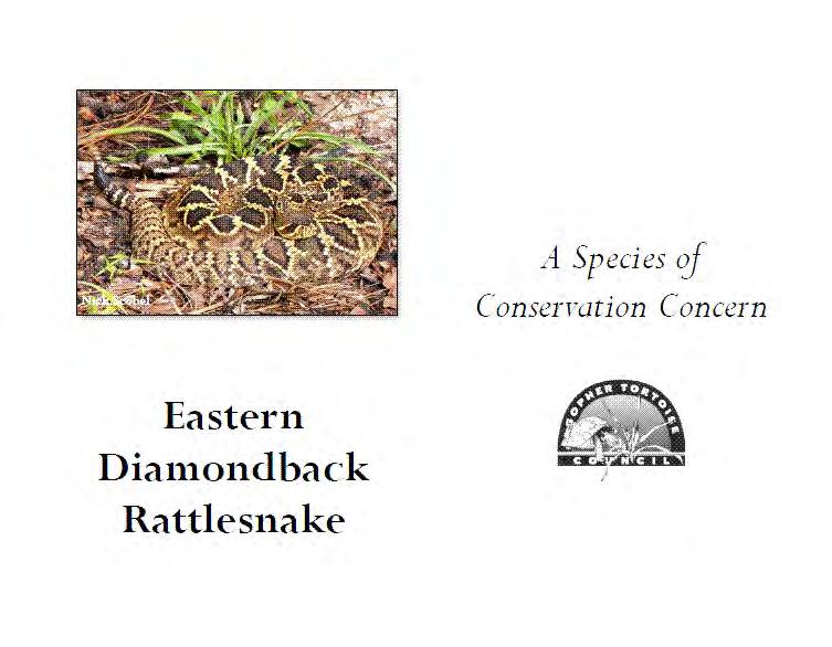 The Tortoise Burrow Upland Snake Conservation Initiative