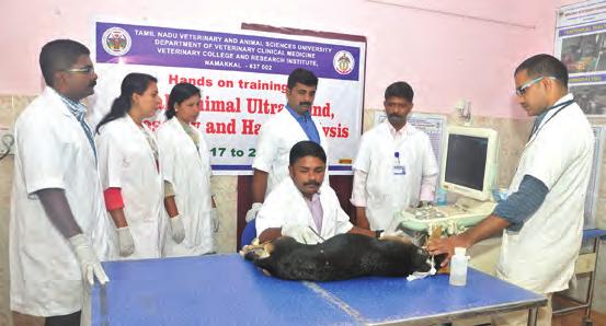 pet animal practice from 04.07.2017 to 24.07.2017. A total of 25 participants from Telangana, Andhra Pradesh, Karnataka, Kerala, Gujarat and Tamil Nadu attended. Dr. S.