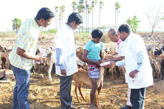 ANIMAL HEALTH CAMP VUTRC, Vellore has conducted two animal health camps under the DST Scheme entitled Technology empowerment of small holding livestock producers of scheduled caste communities in