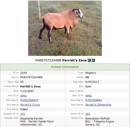 Note: If you don t see a photo for a sheep in the Picture column, don t panic. The BBSAI hasn t uploaded all of the photos yet.