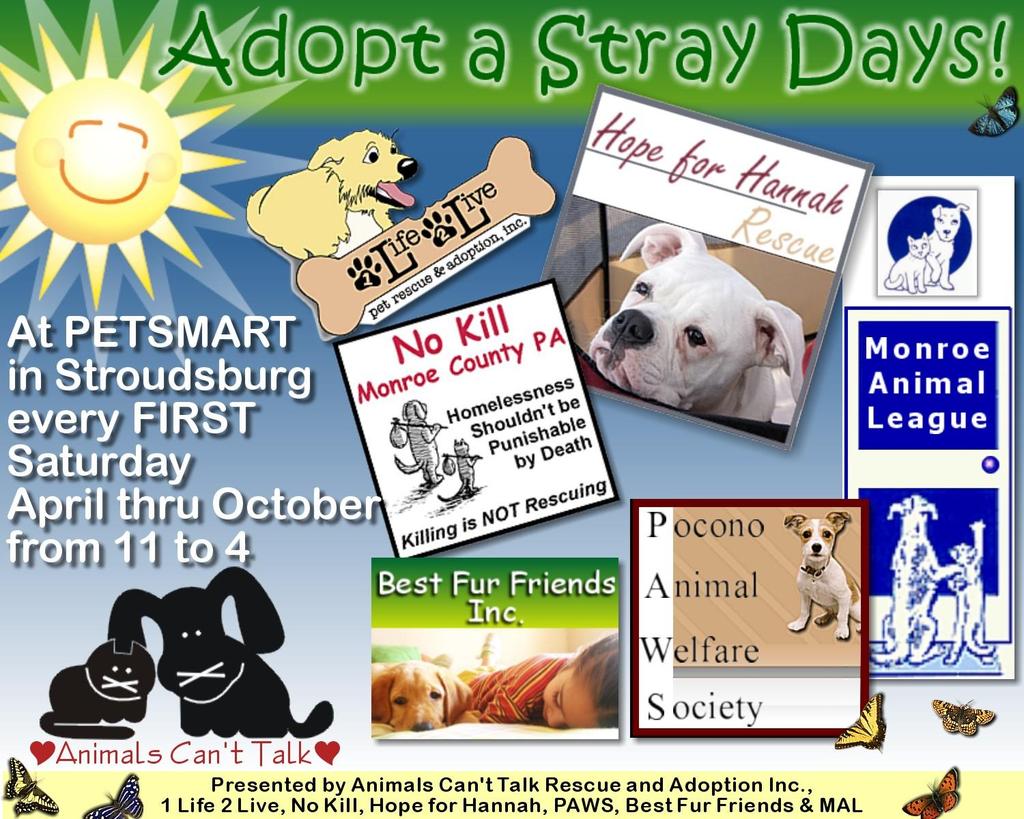 April through September 2011 Our second Adopt A Stray Day is now one of a series.