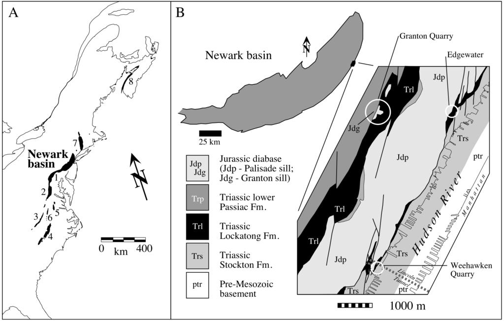 2 AMERICAN MUSEUM NOVITATES NO. 3334 Fig. 1. Location of Hypuronector limnaios within the Newark Supergroup (A) and within the Newark basin of the Newark Supergroup (B).
