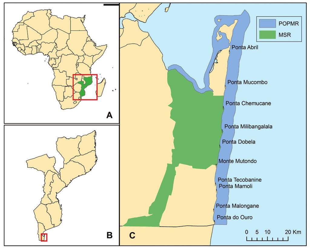 Fig. 1. Location of Ponta do Ouro Partial Marine Reserve (POPMR) and Maputo Special Reserve represented in blue and green respectively and sites mentioned in the text.