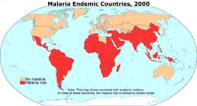 Malaria Malaria/Anopheles mosquito complex