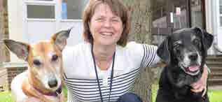 The Supervisors Dr Cathryn Mellersh Head of Canine Genetics, AHT Professor Alison Hardcastle Professor of