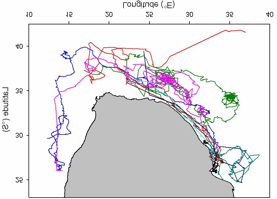 Figure 2. Reconstructed migration paths and low resolution sea surface temperatures of post nesting leatherback turtles tracked via satellite telemetry (Figure from Lambardi et al. 2006) 2.