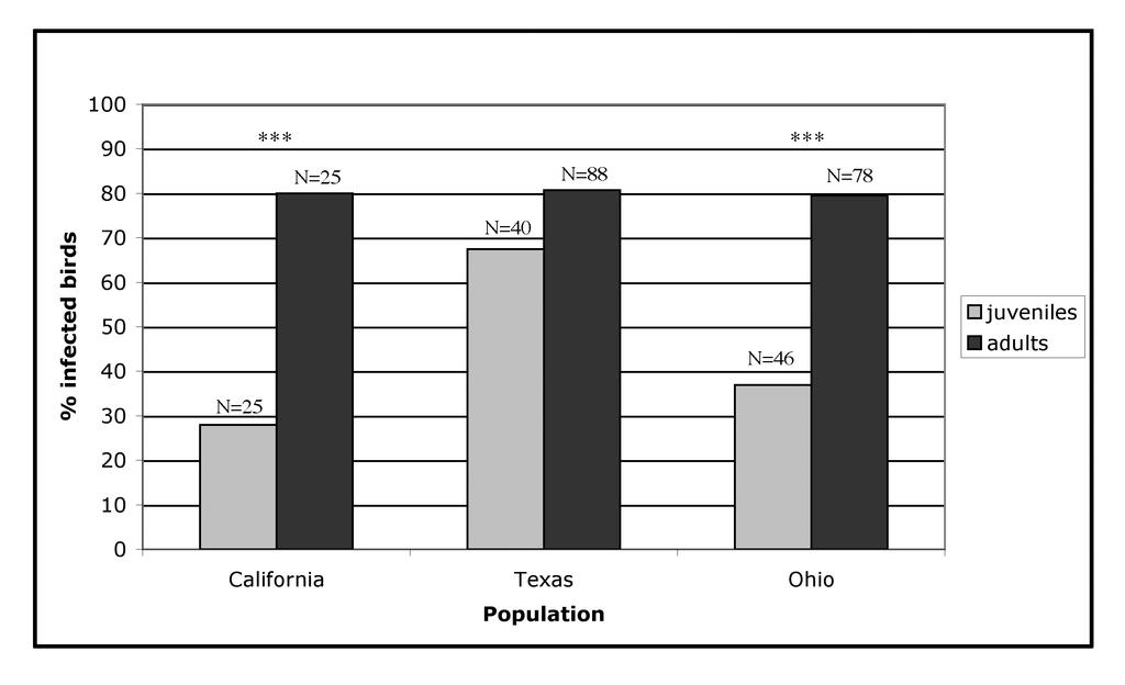 34 Figure 3. Avian malaria prevalence in adult and juvenile lark sparrows.