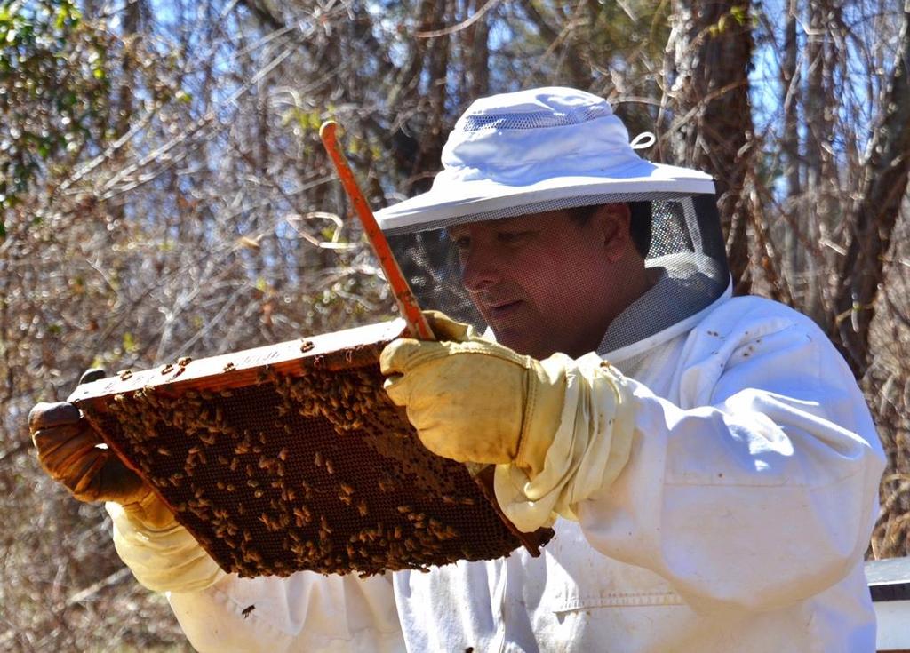 Message from the President: Happy March Northeast NJ Beekeepers! March is the calm before the beekeeping storm and the cold before the bloom.